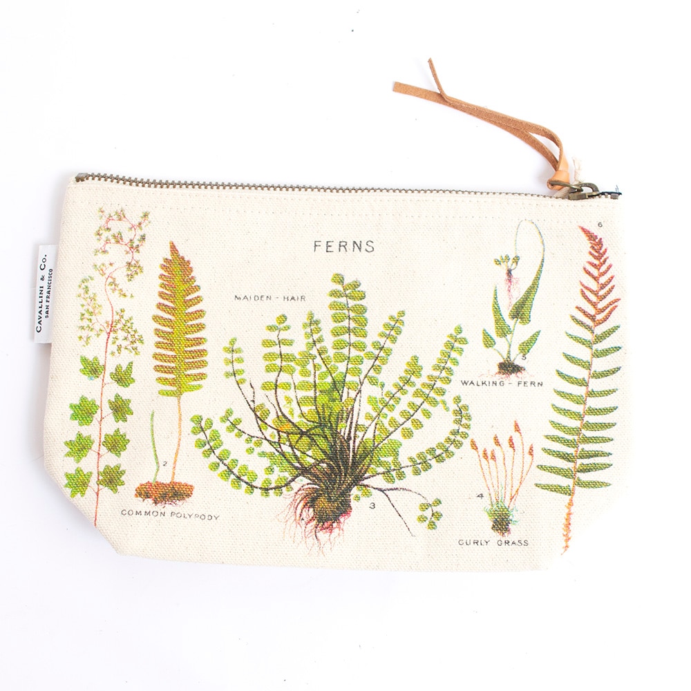 Cavallini, Blue, Pencil Pouch, Cotton, Art & School, Vintage, Ferns, 376243